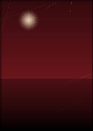 韦琪