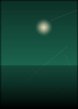 汪星宇