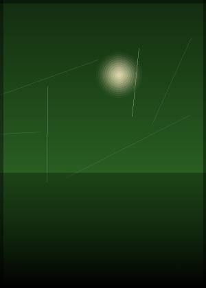王星玮