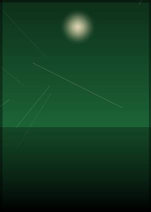汪星宇