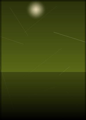 王泽绮