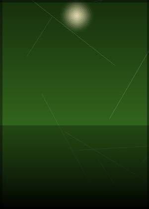 爱登·舍尔