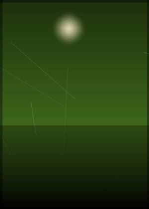 贝特·米德勒