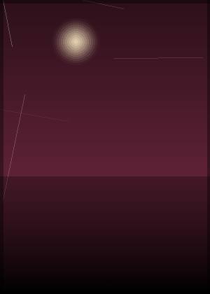 马丽