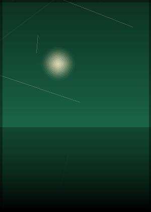 卢星月