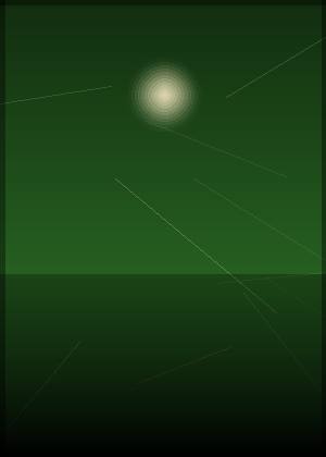 金·凯瑞